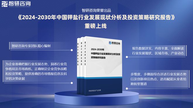 2024版中国钾盐行业投融资动态、发展现状及未来趋势预测报告